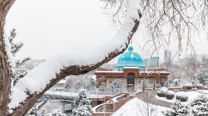uznews.uz - В Ташкенте и других городах ожидается снег и заморозки.