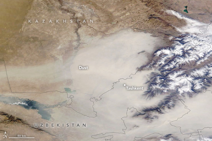 kun.uz - NASA опубликовало фото пыльной мглы над Ташкентом.